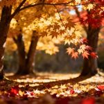 Ni medicamentos ni terapia: cómo la luz de la mañana transforma tu humor en otoño