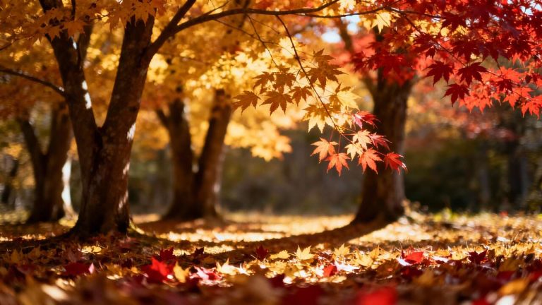 Ni medicamentos ni terapia: cómo la luz de la mañana transforma tu humor en otoño